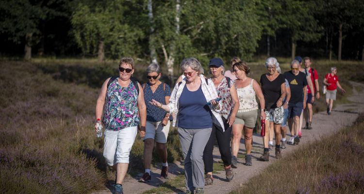 Bekijk ons jaaroverzicht 2024